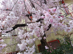 20130329_125423.jpg