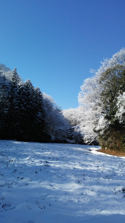 雪景色.JPG